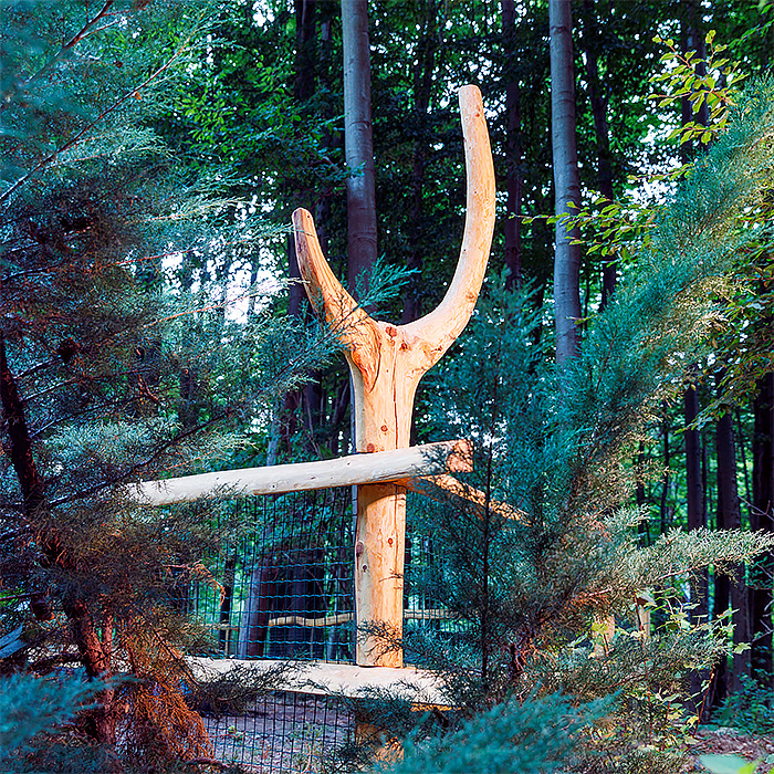 „Eko“ plot okolo chaty